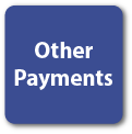 Other Payments